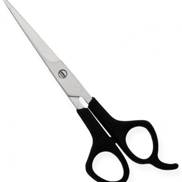 Plastic Handle Scissors