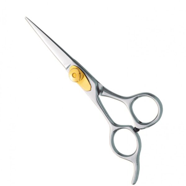 Professional hair Cutting Scissors