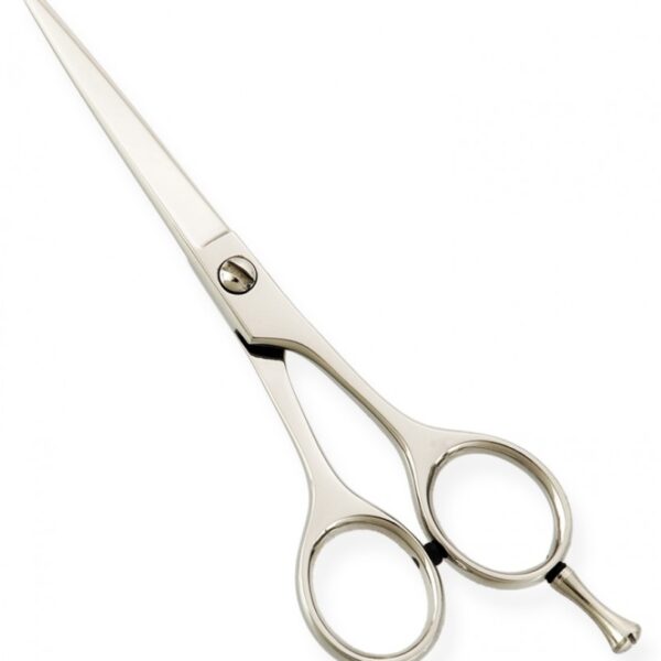 Standard Hair Dressing Scissors