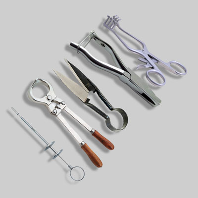 Veterinary Instruments