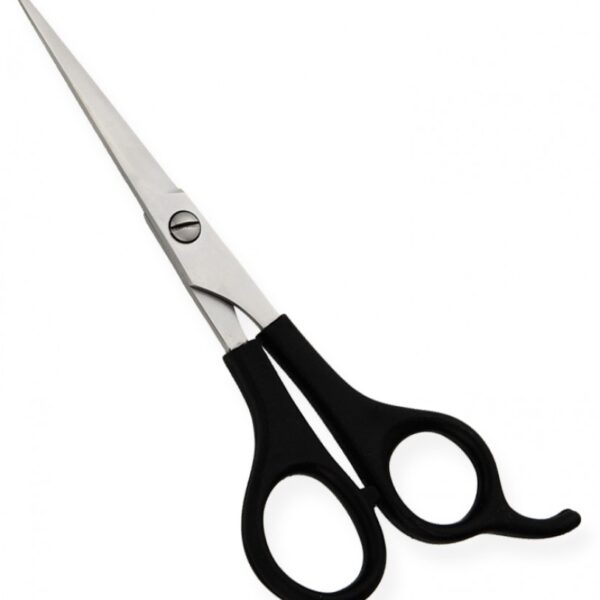 Plastic Handle Scissor # 2