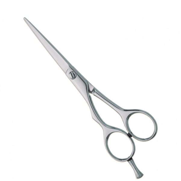 Professional Hair Cutting Scissor # 13