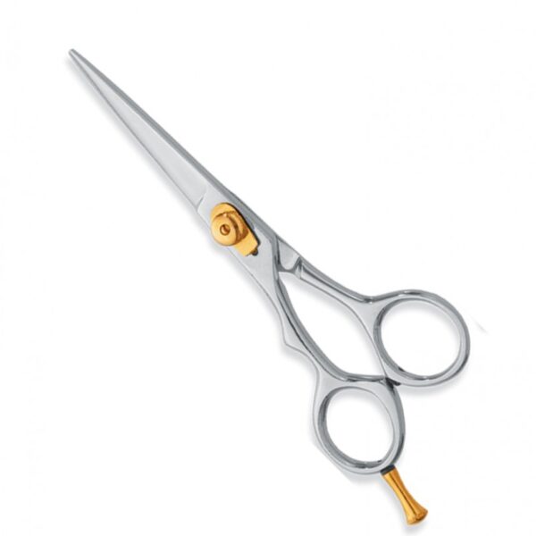 Professional Hair Cutting Scissor # 2