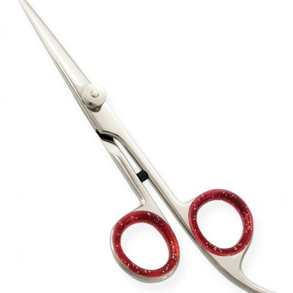 Razor Edge Hair Dressing Scissor # 10